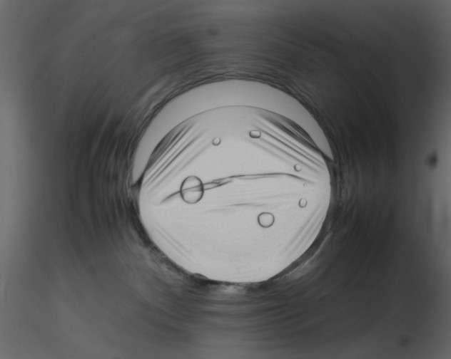 X0000115800140200912241901