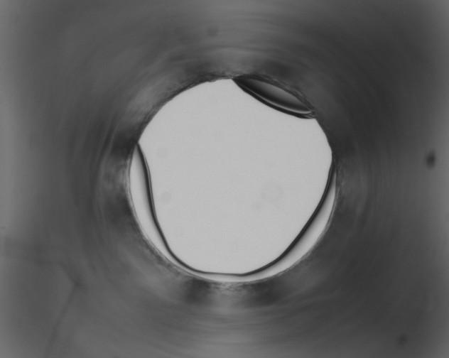 X0000115800141200912241901