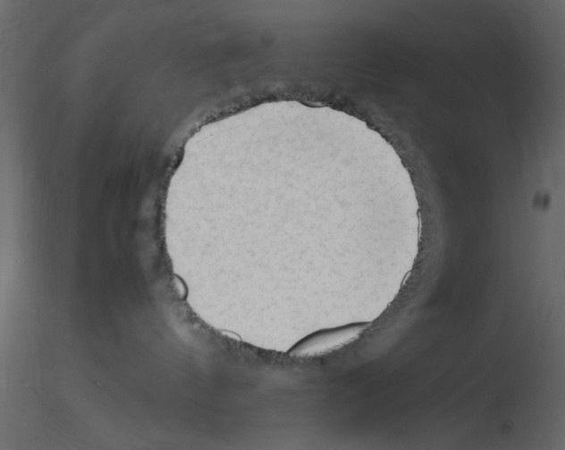 X0000115800144200912241901