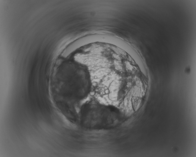 X0000115800145200912241900