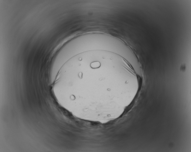 X0000115800146200912241900