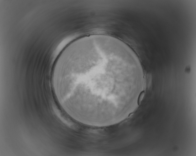 X0000115800147200912241900