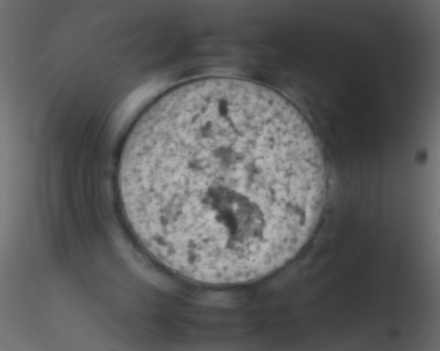 X0000115800149200912241900