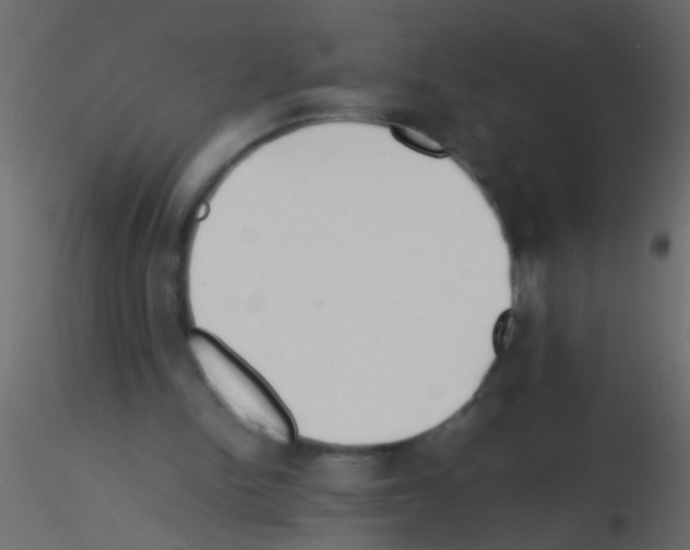 X0000115800150200912241900