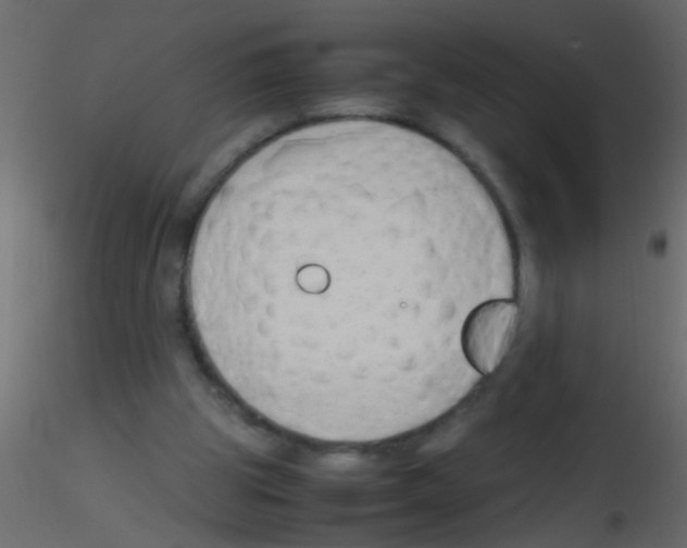 X0000115800153200912241900