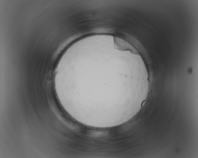 X0000115800155200912241900