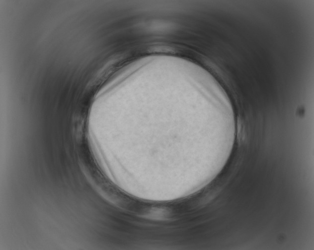 X0000115800157200912241900