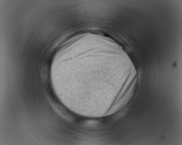 X0000115800158200912241900