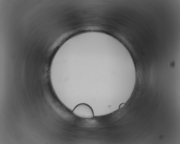 X0000115800159200912241900