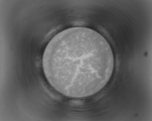 X0000115800161200912241900