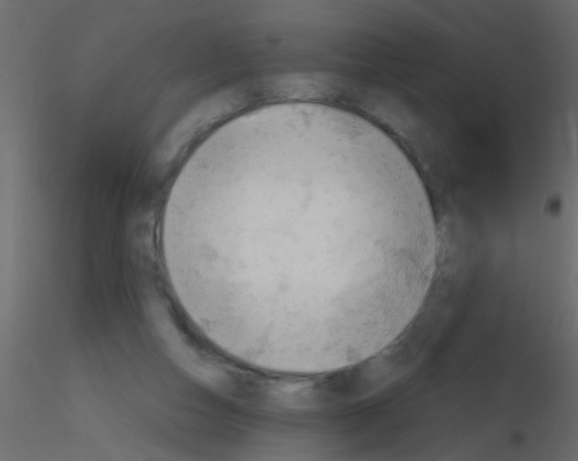 X0000115800162200912241900