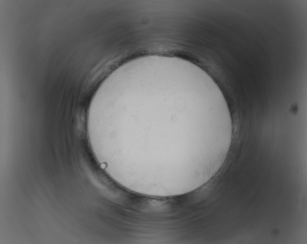 X0000115800166200912241900