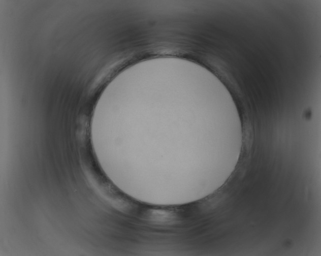 X0000115800167200912241900