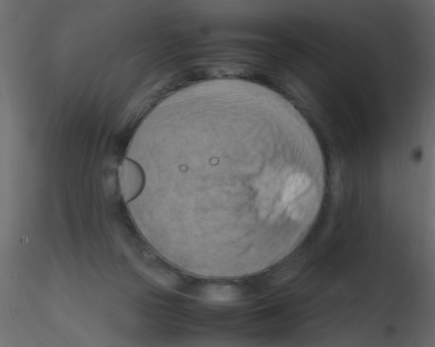 X0000115800169200912241900