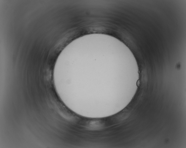 X0000115800173200912241900