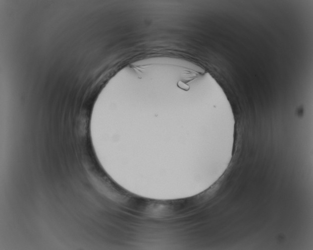 X0000115800174200912241900