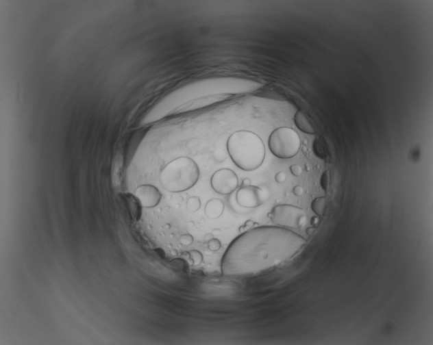 X0000115800175200912241900