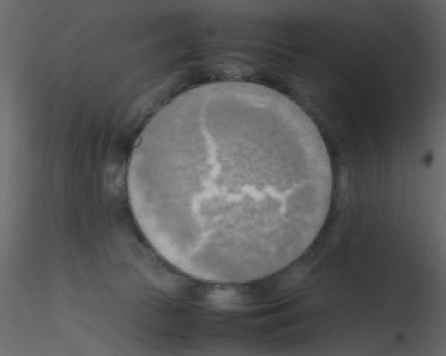 X0000115800177200912241900