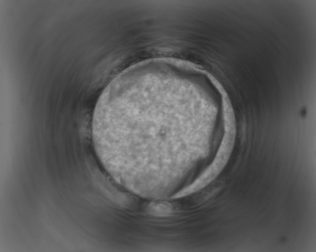 X0000115800181200912241900