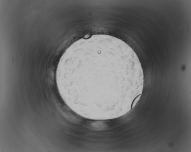 X0000115800183200912241900