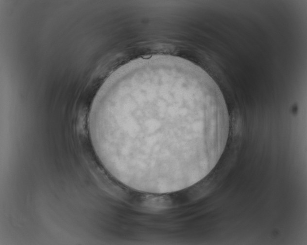 X0000115800185200912241900