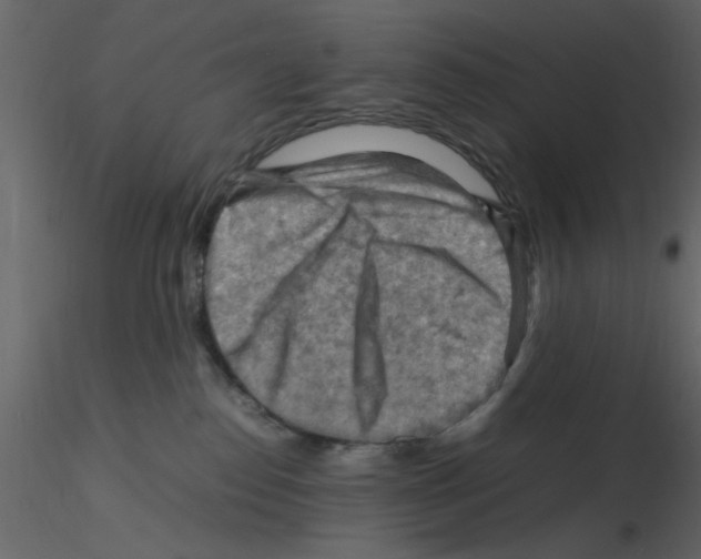 X0000115800186200912241901