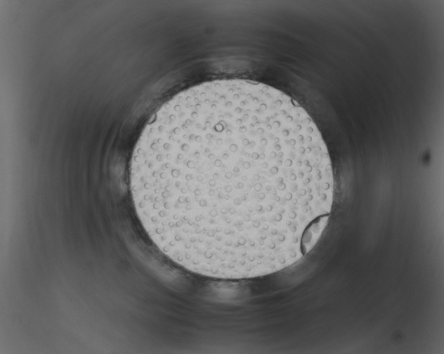 X0000115800187200912241901