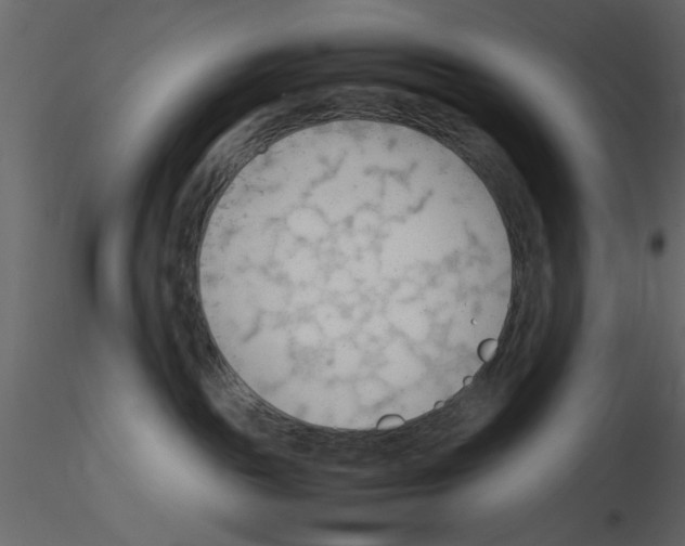 X0000115800189200912241901