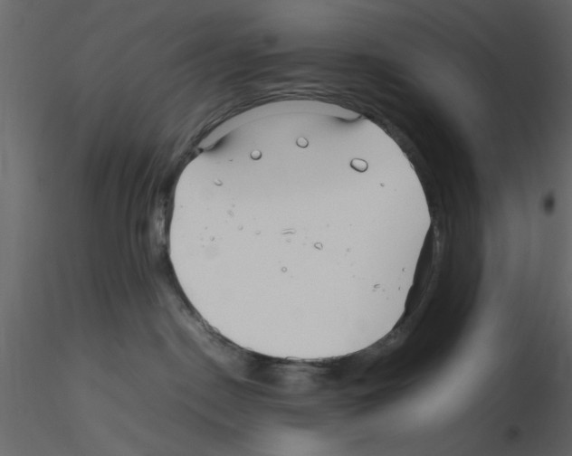 X0000115800190200912241901