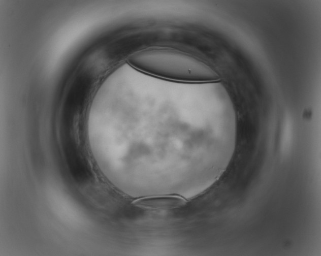 X0000115800195200912241900