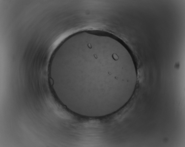 X0000115800196200912241900