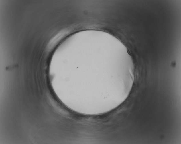 X0000115800197200912241900