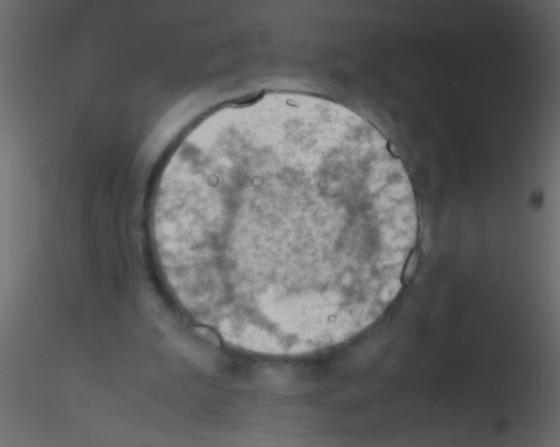 X0000115800199200912241900