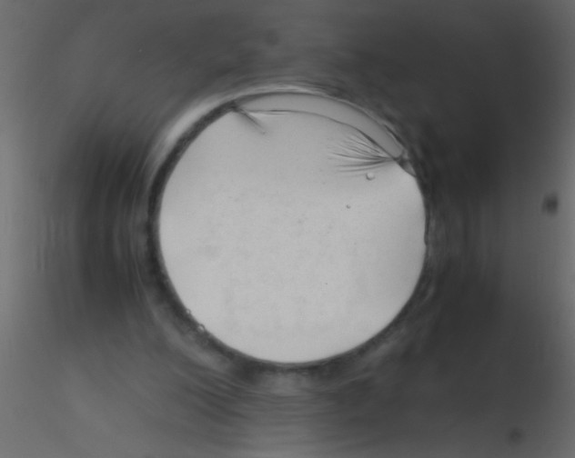 X0000115800200200912241900