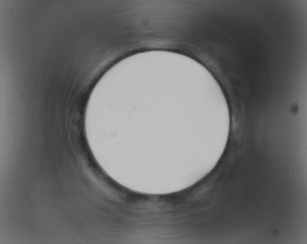 X0000115800201200912241900