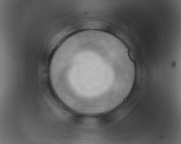 X0000115800203200912241900