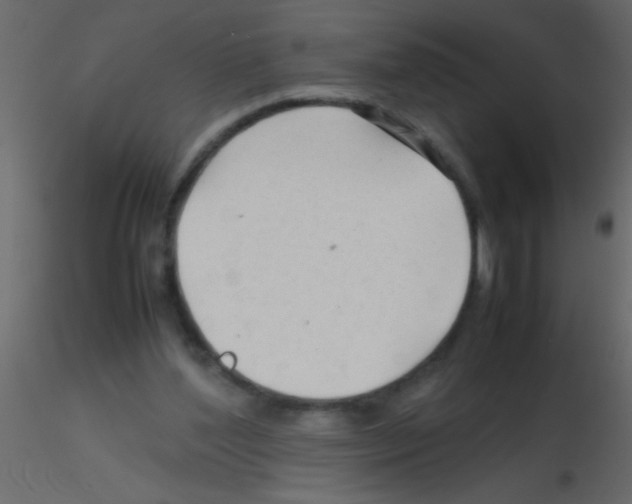 X0000115800204200912241900