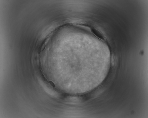 X0000115800205200912241900