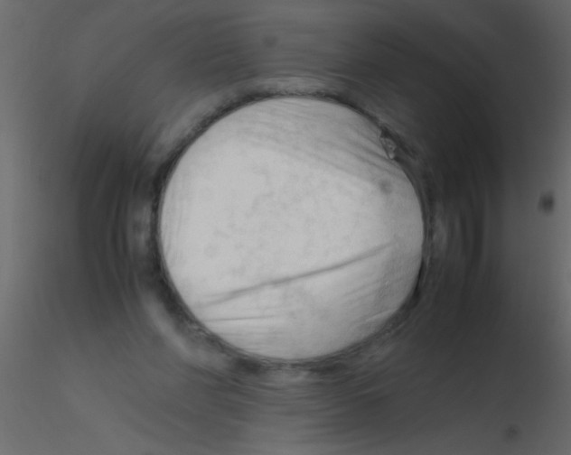 X0000115800206200912241900