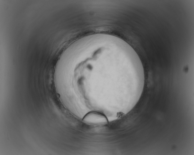 X0000115800210200912241900