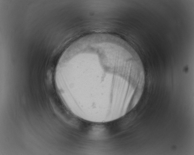 X0000115800214200912241900