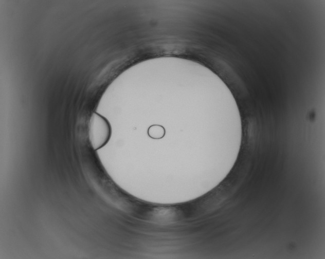 X0000115800218200912241900