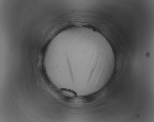 X0000115800219200912241900