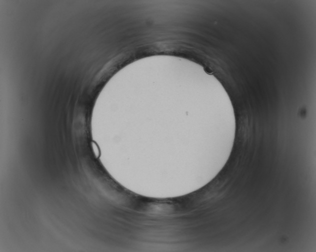 X0000115800220200912241900