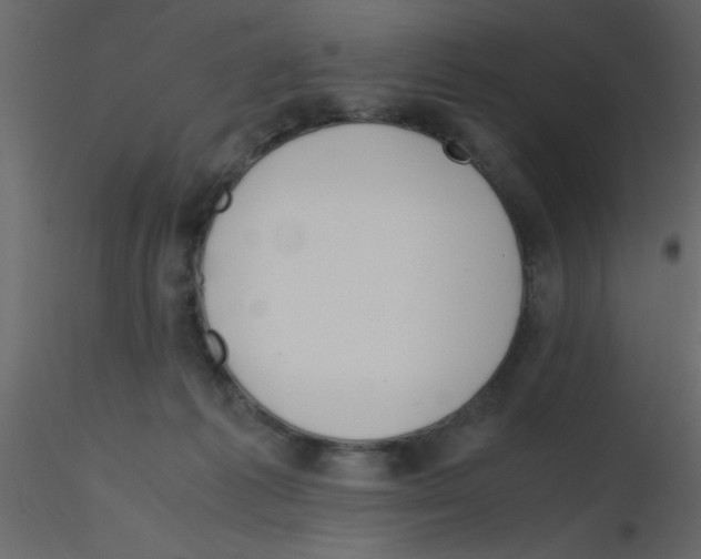 X0000115800221200912241900