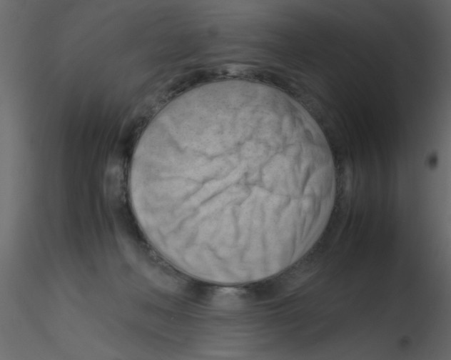 X0000115800222200912241900