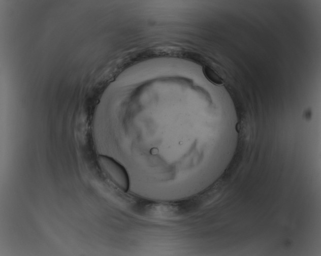 X0000115800223200912241900