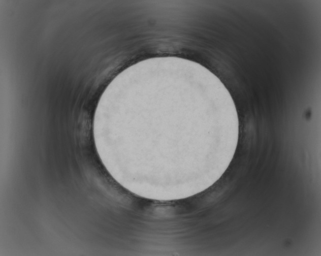 X0000115800228200912241859