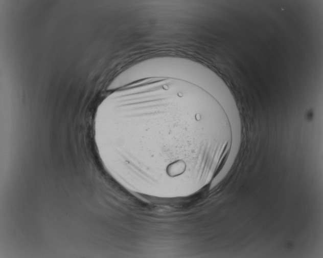 X0000115800229200912241859