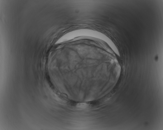 X0000115800231200912241859